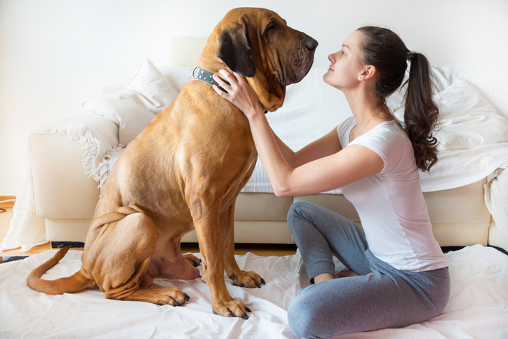 Hard Lessons Learned from Verbal Agreements and a Very Large Dog